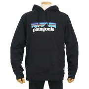 Patagonia